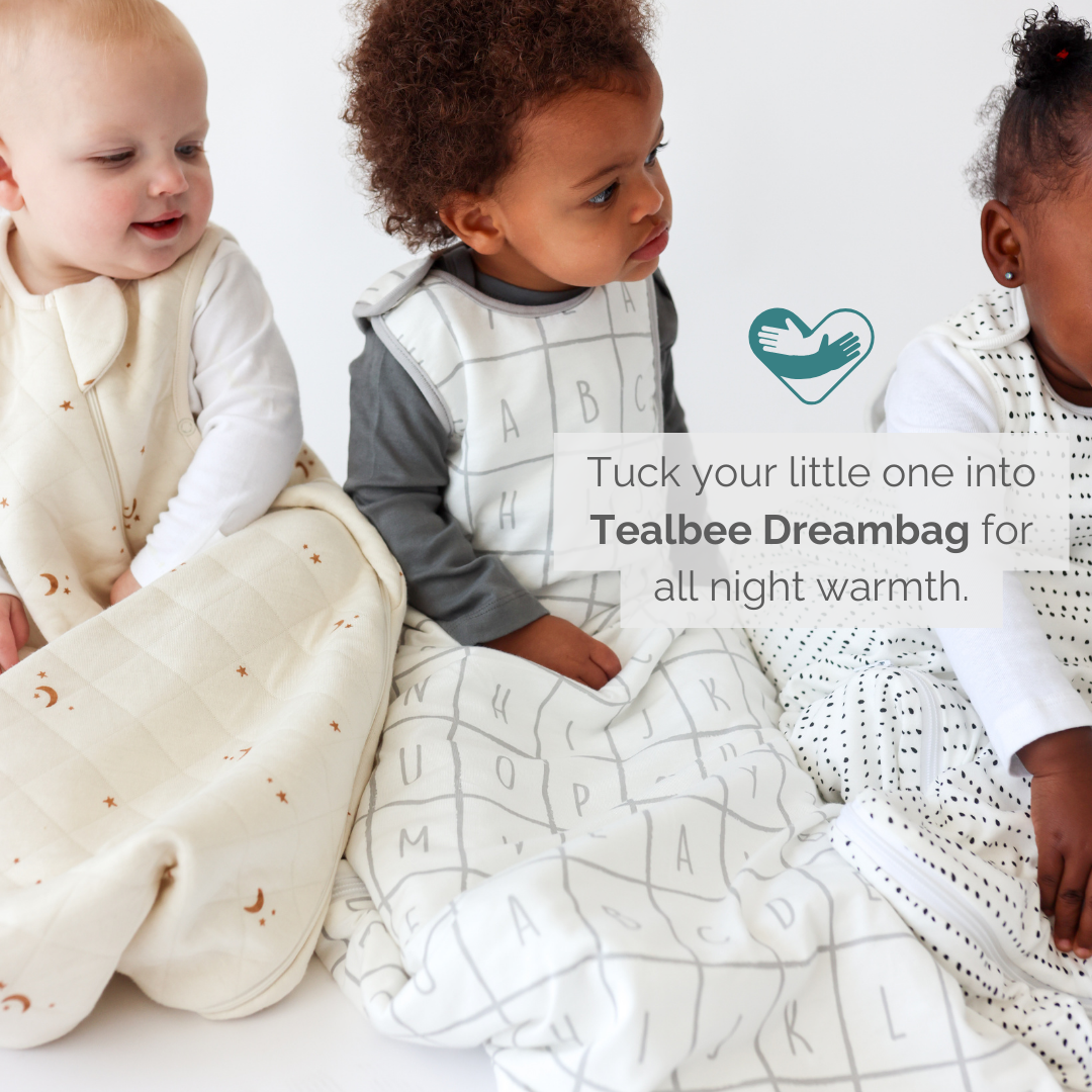 Dreambag | Alphabet | 1.2 TOG