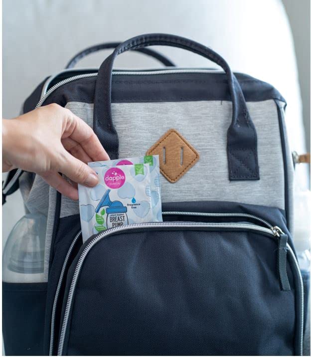 Dapple Baby Breast Pump Wipes, Singles, Fragrance Free