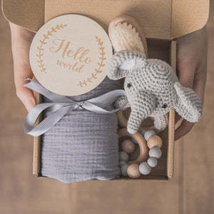 Baby Teething Toy Gift Set – Soothing Teether and Sensory Development Kit