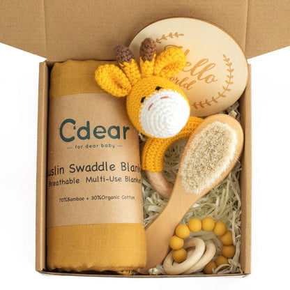 Baby Teething Toy Gift Set – Soothing Teether and Sensory Development Kit
